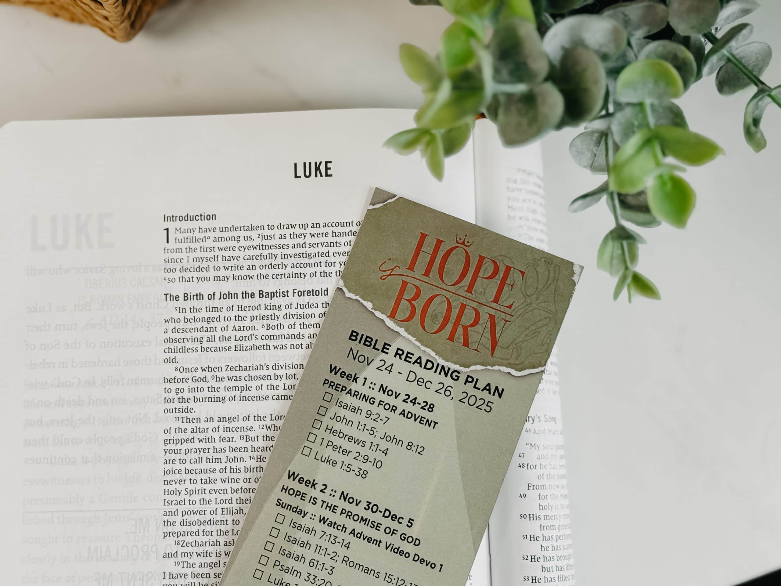 Hope Is Born Bible Reading Plan Church at The Mill