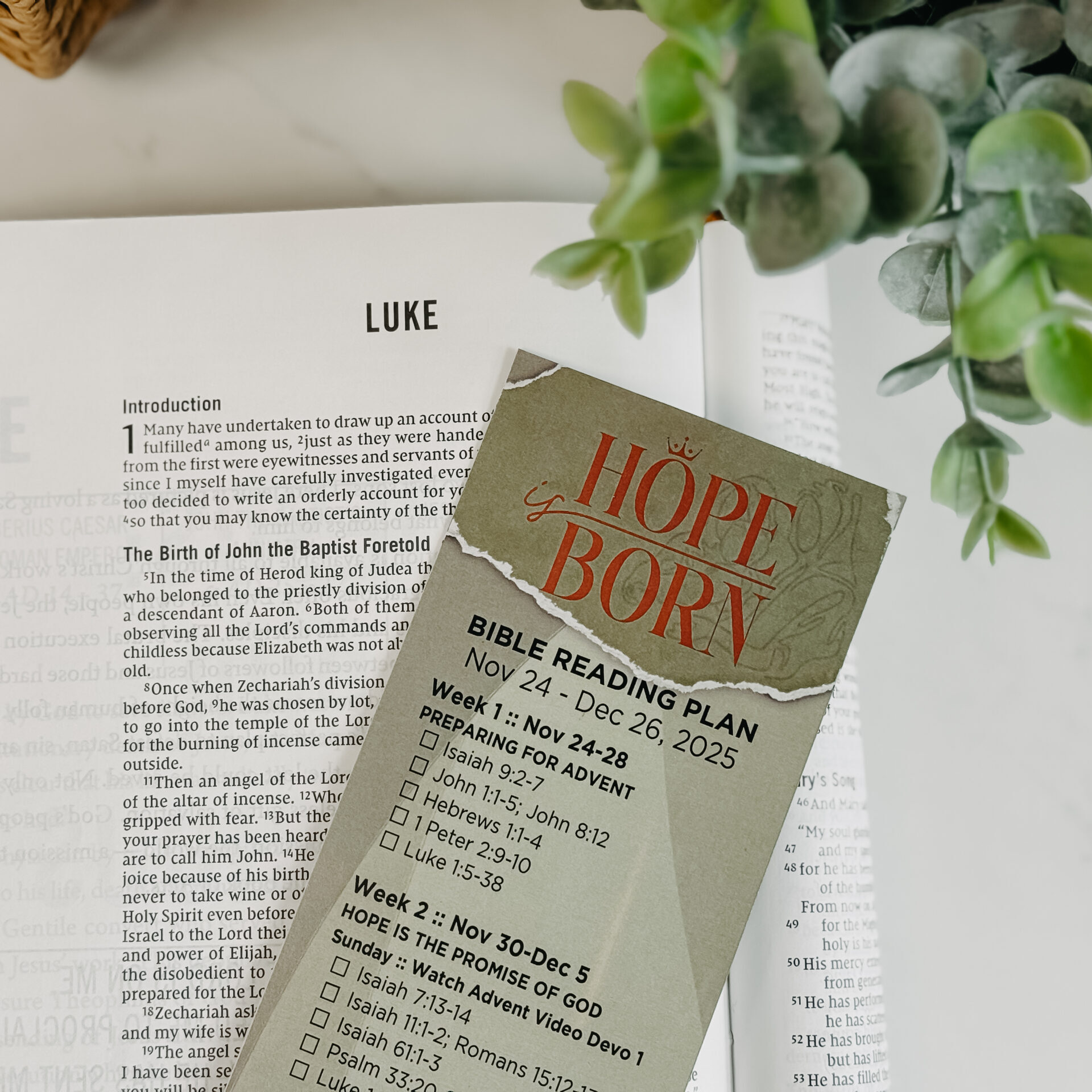 ESP.HopeisBornBibleReadingPlan