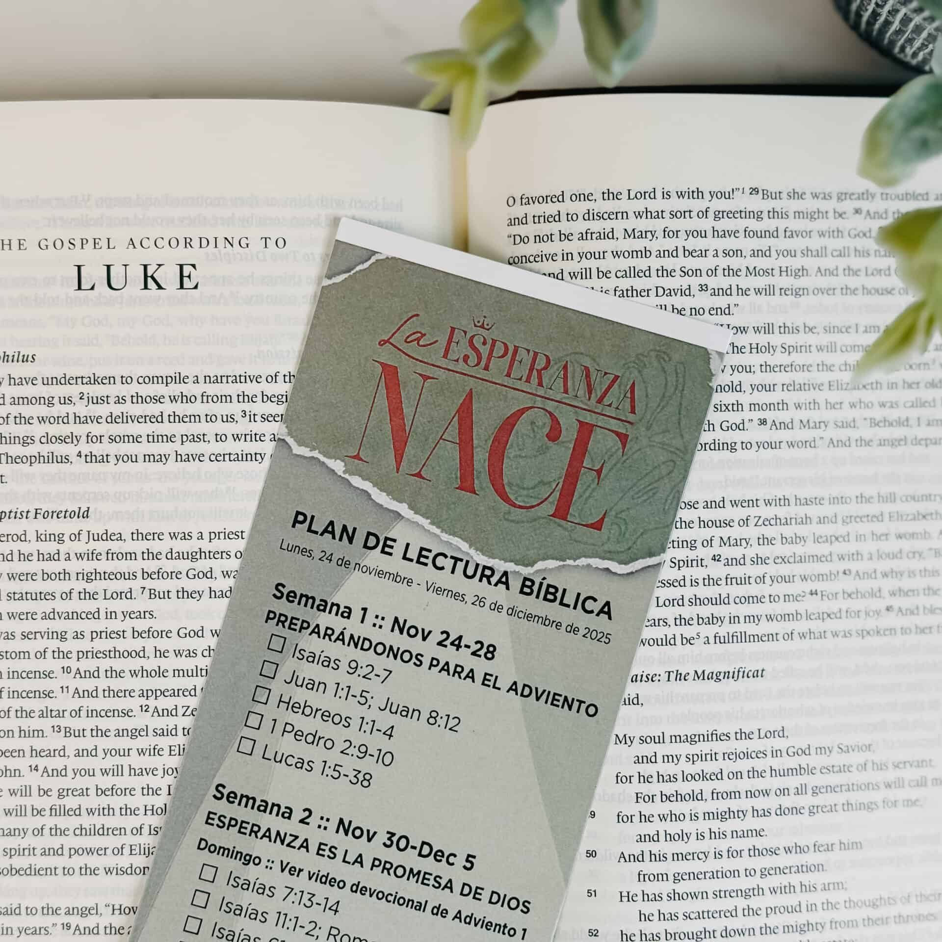 HopeIsBornBibleReadingPlan